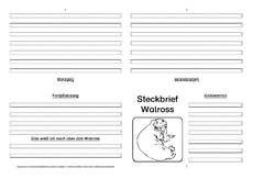 Walross-Faltbuch-vierseitig.pdf